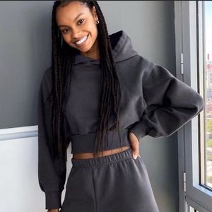 Aritzia TNA Cozy Perfect Cropped Hoodie